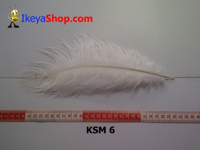 bulu kasuari medium KSM 6   feather  large2